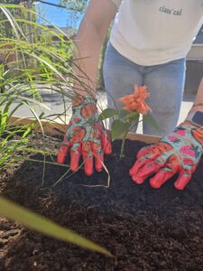Plantation de fleurs devant un immeuble