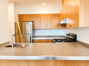 3471 rue Ontario Est, appt 1
