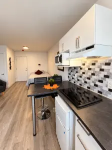 5365 rue Berri, appt 110